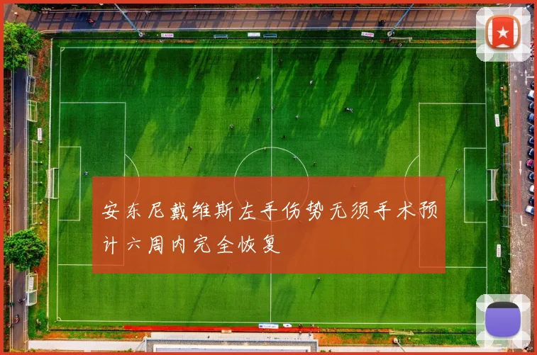 安东尼戴维斯左手伤势无须手术预计六周内完全恢复